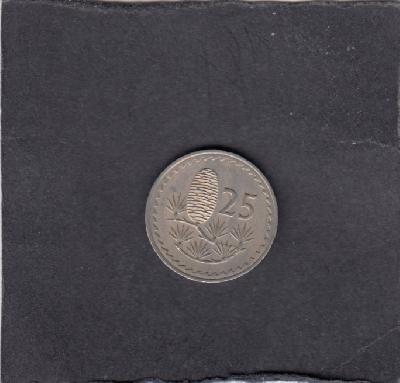 Beschrijving: 25 Mils  CEDAR PLANT